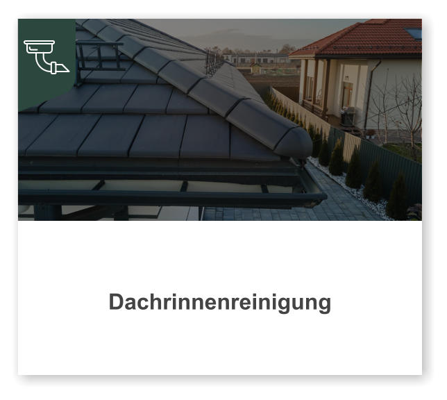 Dachrinnenreinigung