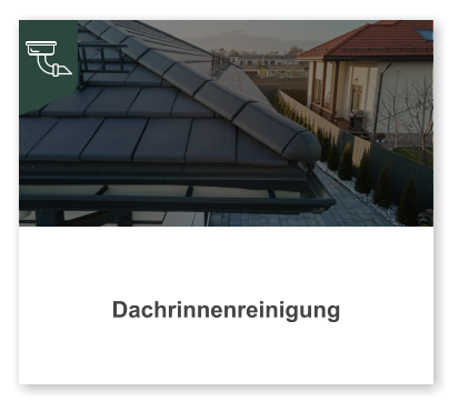 Dachrinnenreinigung